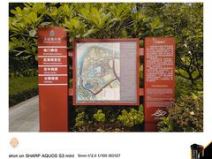 -王借岗森林公园