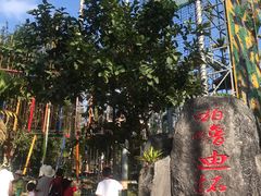 -呀诺达热带雨林