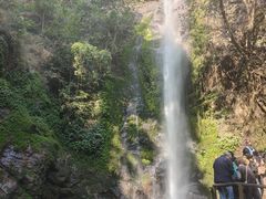 -莫里热带雨林景区