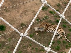 -西霞口神雕山野生动物世界