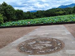 -清漾毛氏文化村