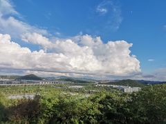-羊山湖公园