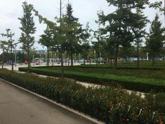 -日照灯塔风景区