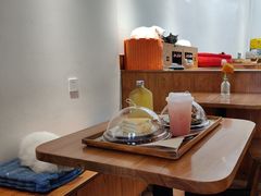 -有猫主题·治愈系猫咖(曾厝垵店)