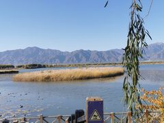 -野鸭湖国家湿地公园