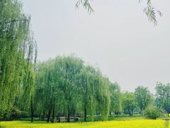 -北坞公园