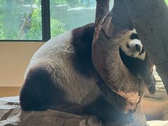 -宁波野生动物园