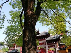 -龙华寺