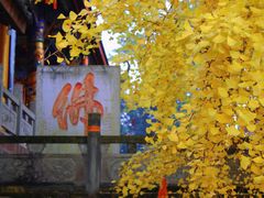 -金堂县云顶石城风景区