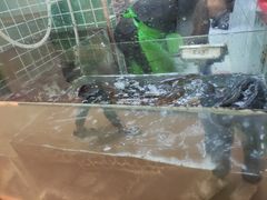 -百岁我家酸菜鱼(龙湾万达店)