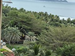 -海南清水湾莱佛士酒店