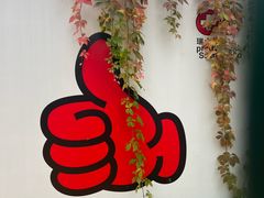 -三里屯东五街银杏大道
