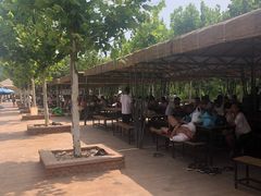 -渔岛海洋度假区