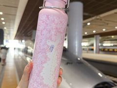 -渭南桃花源民俗文化园