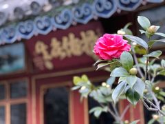 -寂照庵