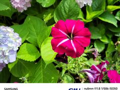 -上海山野camping·户外天幕烧烤·团建拓展营地