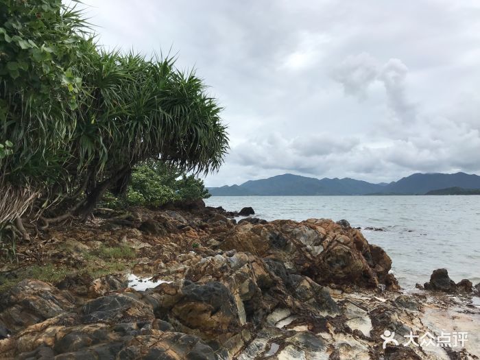 马屎洲特别地区图片 - 第6张