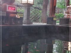 -西安国际创新人才交流中心•药浴温泉