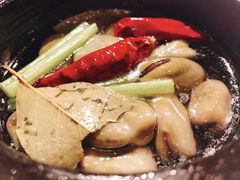-西郊5号·Maggie 5