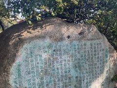 -嘉定紫藤园
