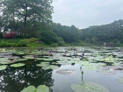 -云溪植物园