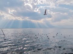 -崇圣寺三塔文化旅游区