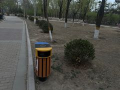 -太阳宫公园