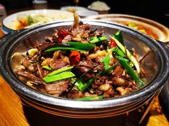-俭寨大盘鸡·缸子肉·小公鸡·新疆菜(云通店)