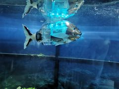 -浙江省科技馆