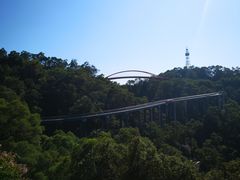 -金鸡山公园