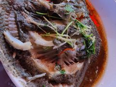 清蒸多宝鱼-四海鲜渔家菜(黄金海岸店)
