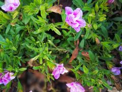 -驿舍·民國老营房院子私房菜(科学会堂店)