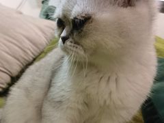 -觅时光手作·香薰·拼豆豆·陶艺DIY