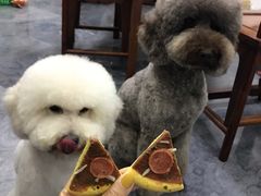 -爱宠屋pet shop·宠物洗澡·宠物美容