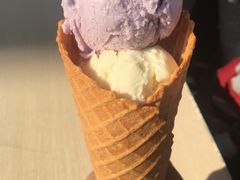 -成裕雪糕店(士多店)