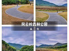 -风云岭森林公园