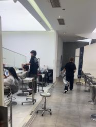 -天使之手