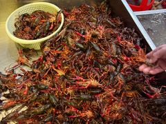 -指爱龙虾(金杨路总店)