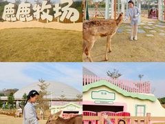 -盈香心动乐园