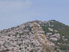 -缘福乡村铁锅炖民宿(八达岭店)