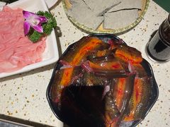 -二荆条·蜀鲜汇城市森林火锅