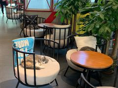 -KingBull私教健身&格斗订制(龙井商业中心店)