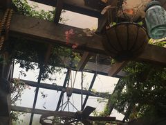 -The Grounds of Alexandria