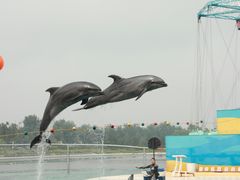 -秦皇岛乐岛海洋王国