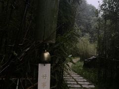 -午潮山国家森林公园