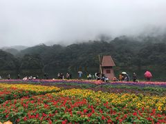 -广州市石门国家森林公园