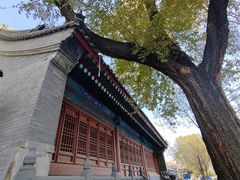 -法兴寺