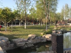 -西海子公园