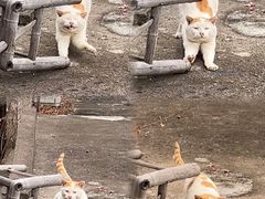 -天台山赤城山景区