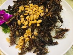 -五邑人家(江门店)